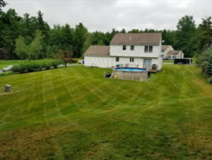 Newly trimmed new hampshire lawn