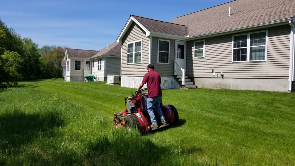 Trimming overgrown grass