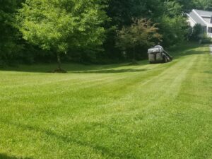 professional lawn mowing